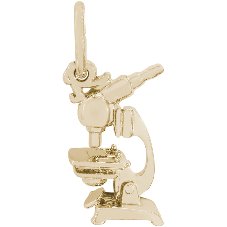 Rembrandt 14k Yellow Gold Microscope Charm