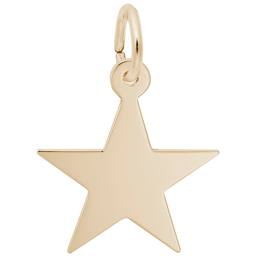 Rembrandt Charms Star-Classic Series Charm 14k Gold