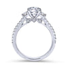 Gabriel & Co. 14k White Gold Contemporary 3 Stone Engagement Ring