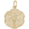 Rembrandt 14k Yellow Gold Registered Nurse Charm