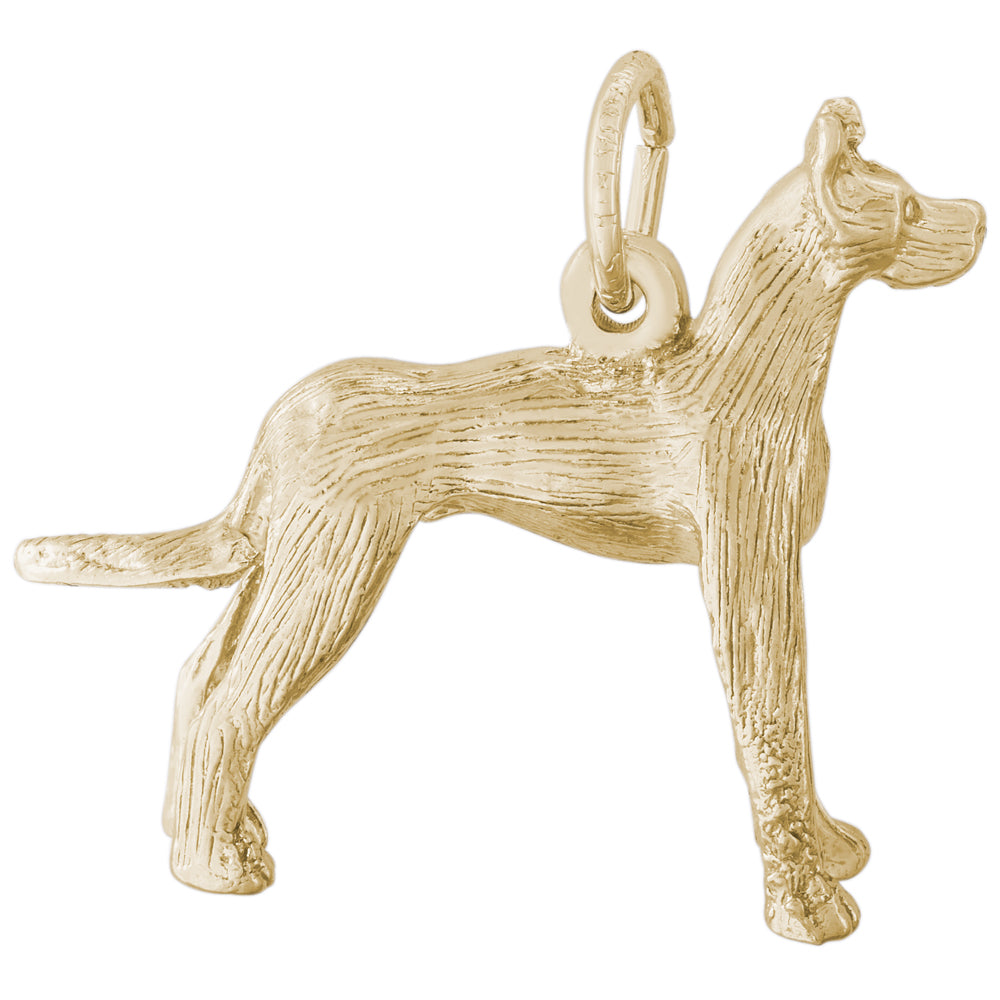 Rembrandt 14k Yellow Gold Great Dane Charm