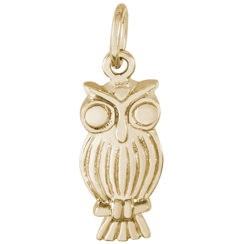 Rembrandt 14k Yellow Gold Owl Charm