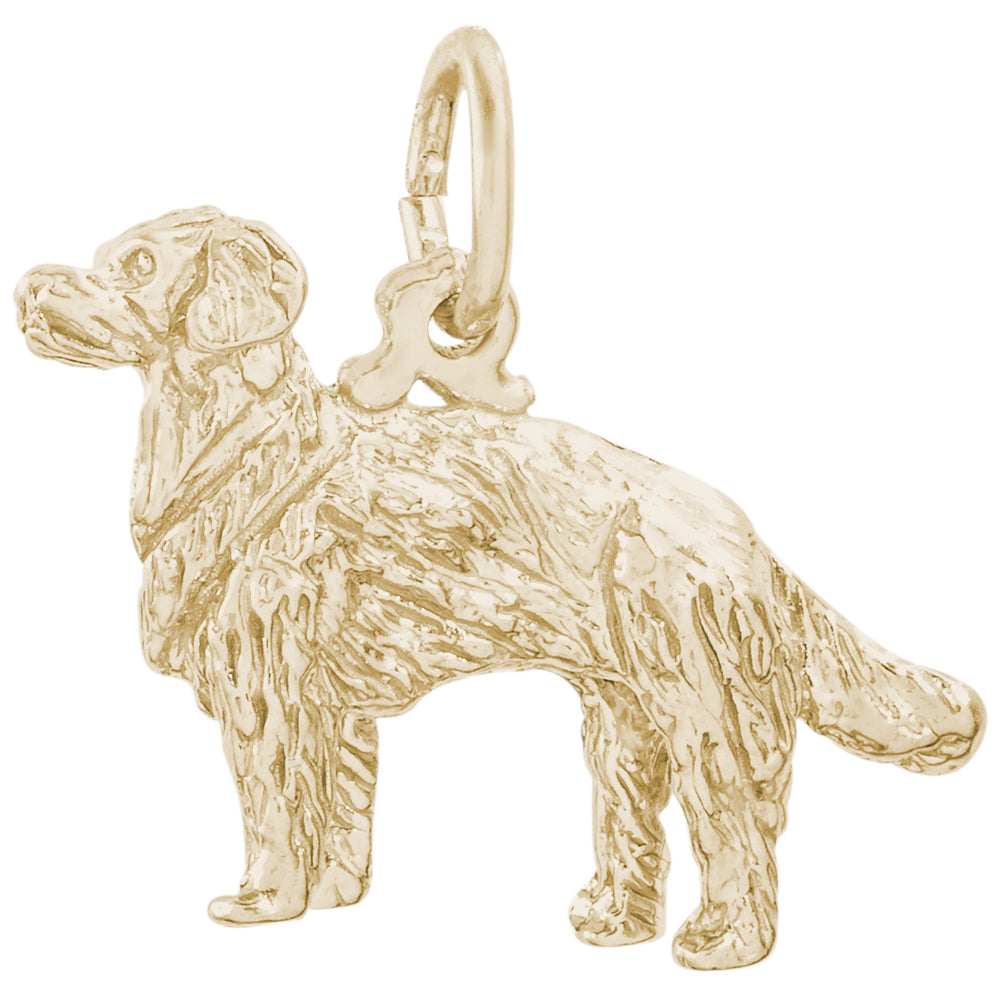 Rembrandt 14k Yellow Gold Golden Retriever Charm
