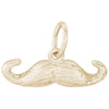 Rembrandt 14k Yellow Gold Moustache Charm