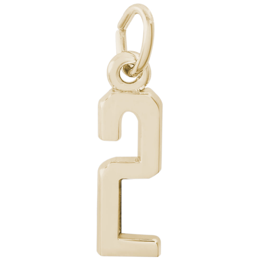 Rembrandt 14k Yellow Gold Number 2 Charm