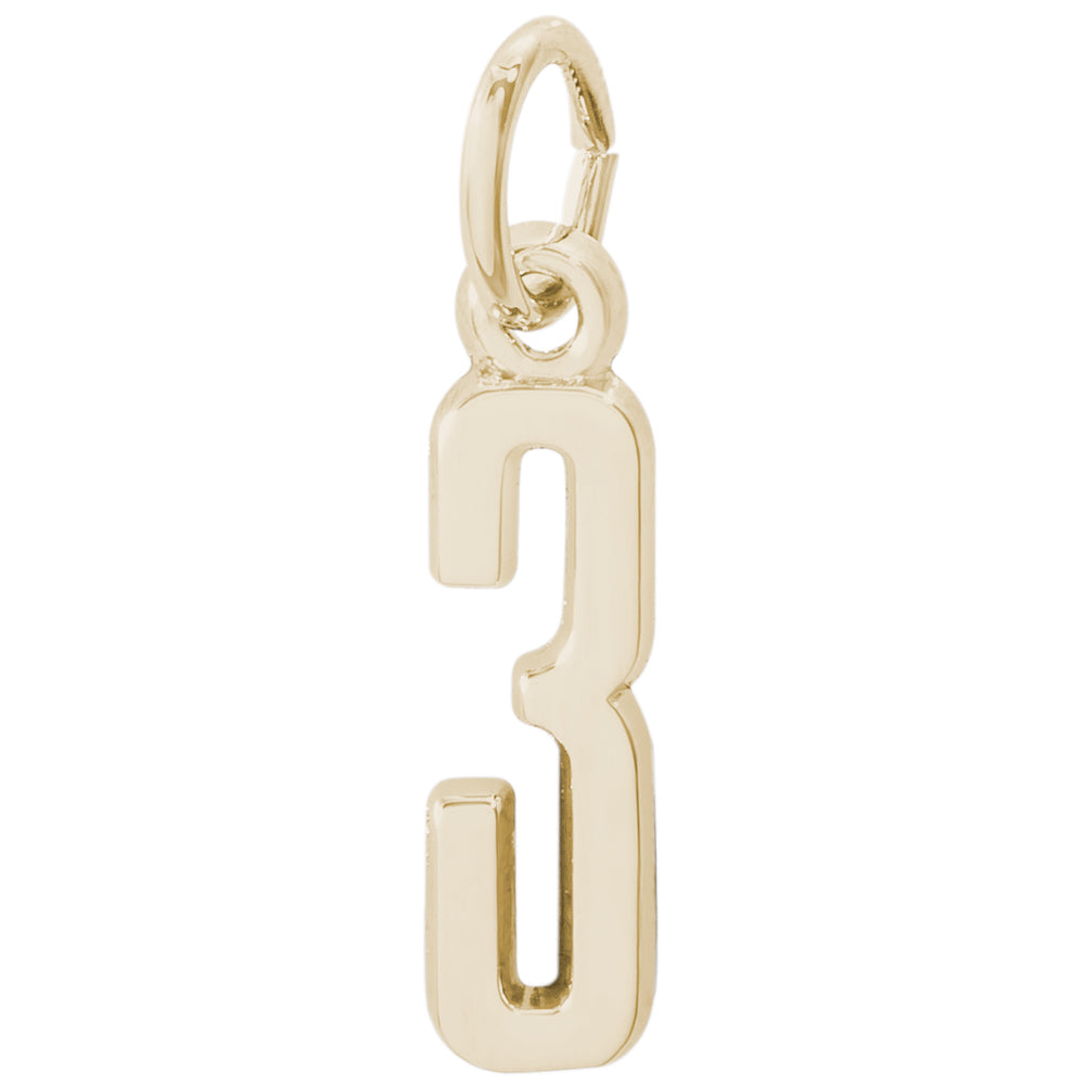 Rembrandt 14k Yellow Gold Number 3 Charm