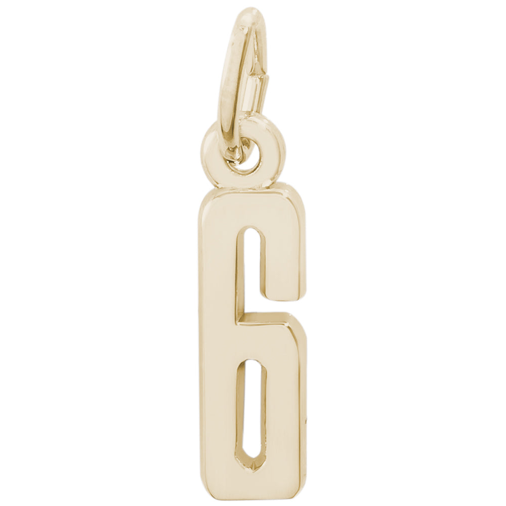 Rembrandt 14k Yellow Gold Number 6 Charm