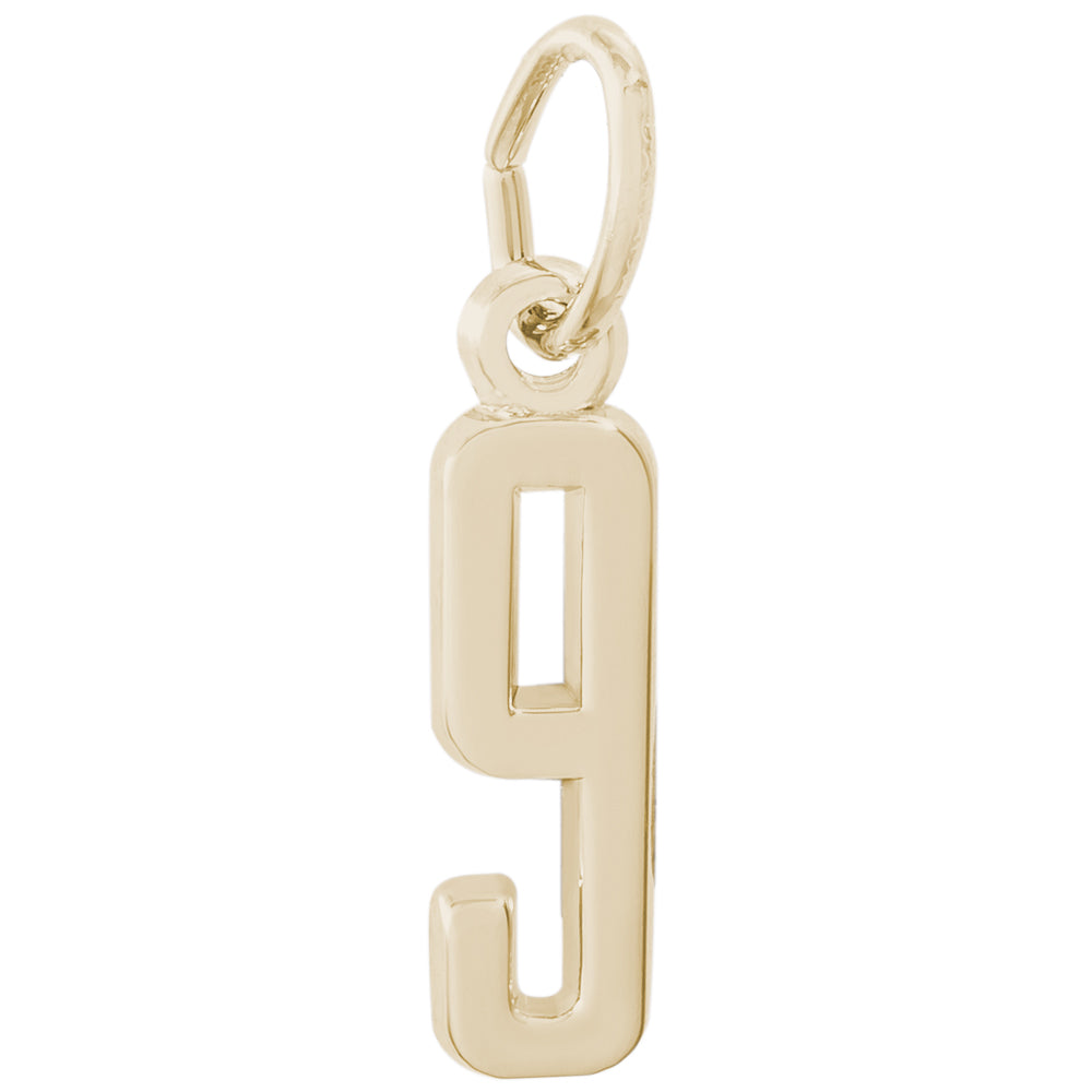 Rembrandt 14k Yellow Gold Number 9 Charm