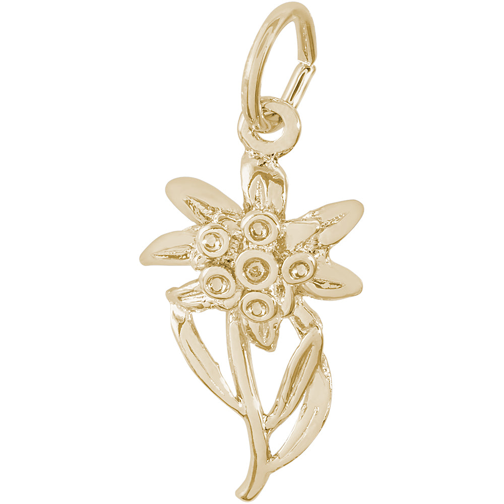 Rembrandt 14k Yellow Gold Edelweiss Charm