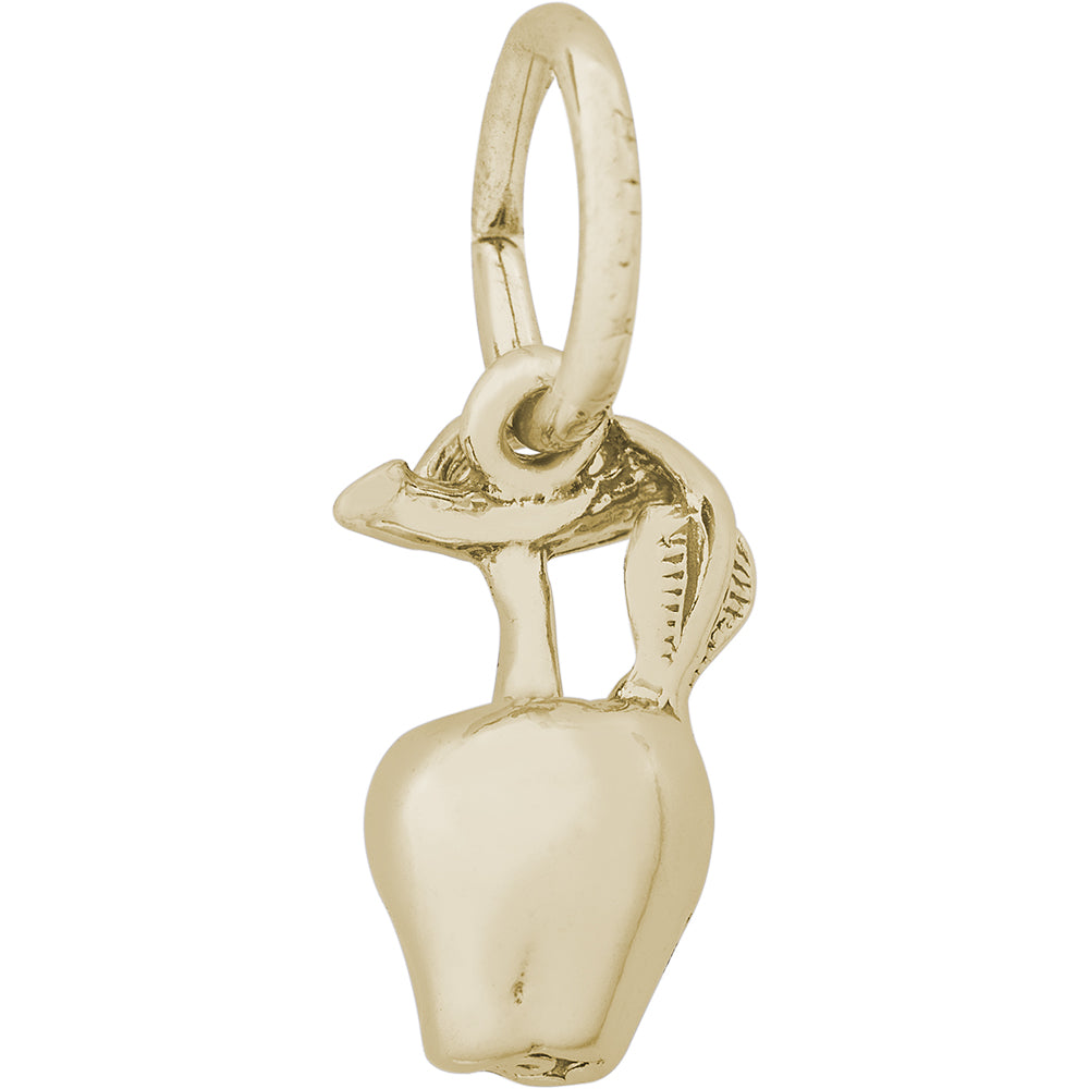Rembrandt 14k Yellow Gold Apple Charm