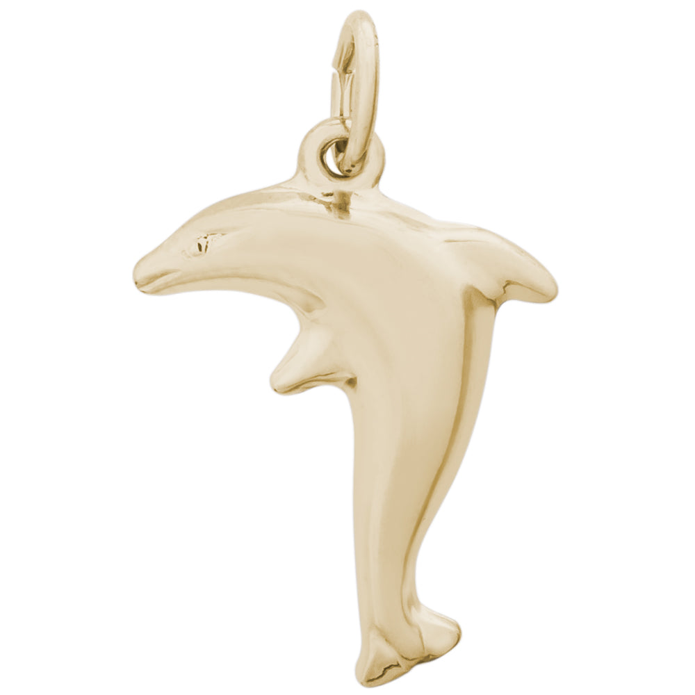 Rembrandt 14k Yellow Gold Dolphin Charm