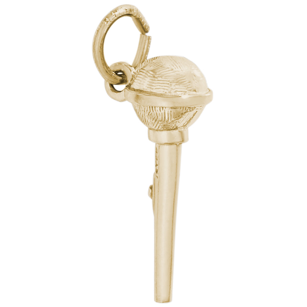Rembrandt 14k Yellow Gold Microphone Charm