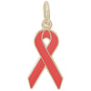 Rembrandt 14k Yellow Gold Red Ribbon Charm