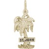 Rembrandt 14k Yellow Gold St. John Palm W/Sign Charm