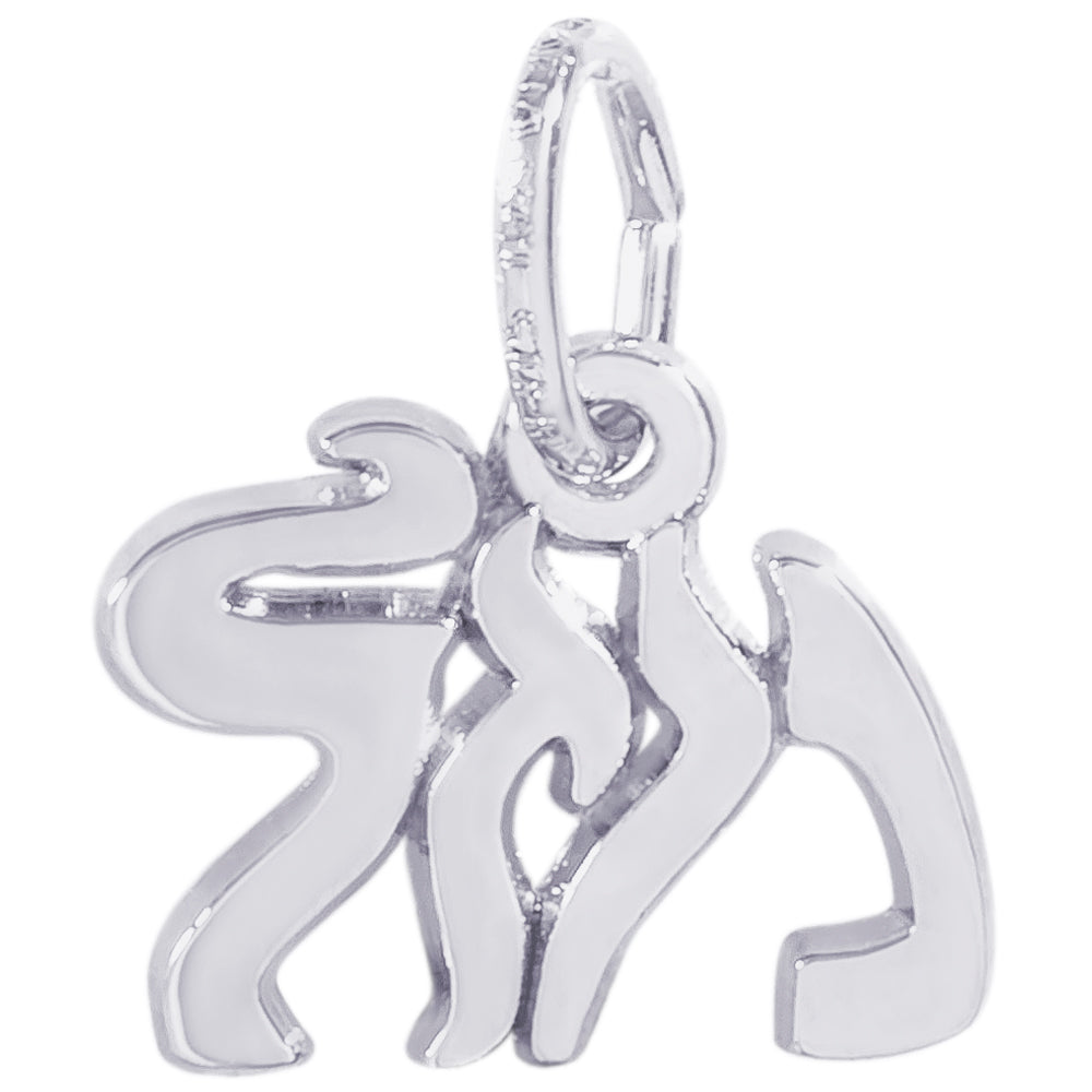 Rembrandt Sterling Silver Mazel Charm